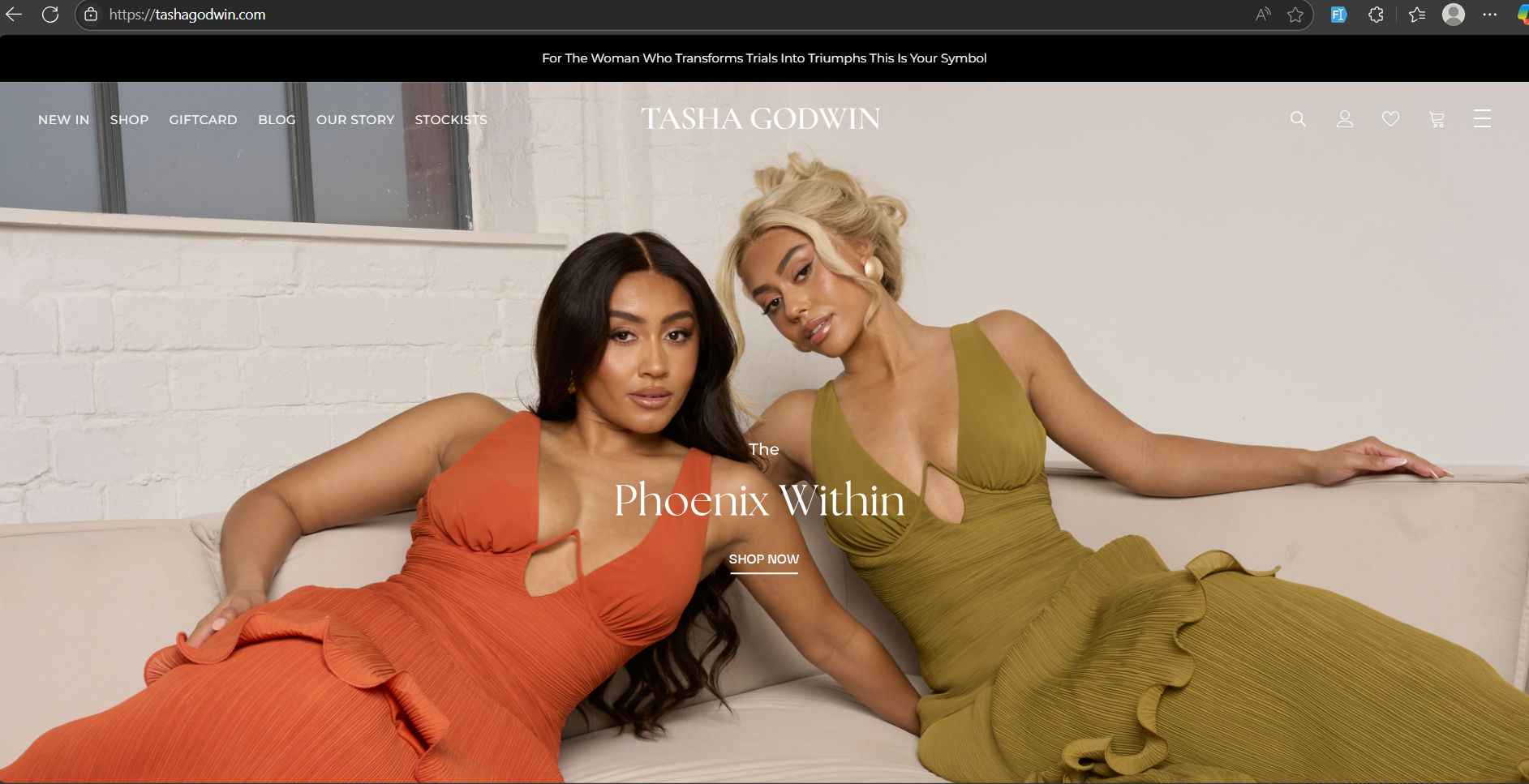 Tasha Godwin e-Commerce